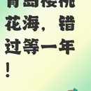 青岛旅游 缩略图 1