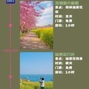 宁波旅游 缩略图 2