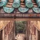 武汉旅游 缩略图 4