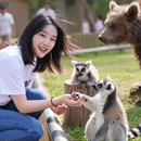 青岛旅游 缩略图 3
