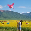 洛阳旅游 缩略图 6