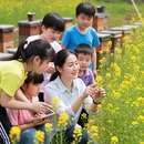 洛阳旅游 缩略图 5