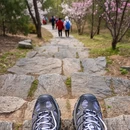 青岛旅游 缩略图 3