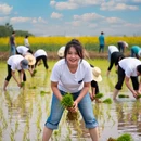 洛阳旅游 缩略图 3