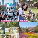 青岛旅游 缩略图 1