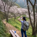 青岛旅游 缩略图 2