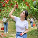 青岛旅游 缩略图 9