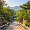 青岛旅游 缩略图 7