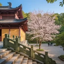 厦门旅游 缩略图 7