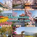 南京旅游 缩略图 1