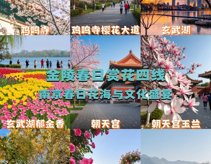 南京旅游 1