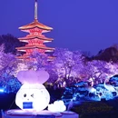 武汉旅游 缩略图 5