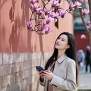 北京旅游 缩略图 2