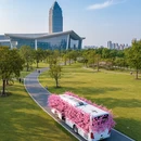 长沙旅游 缩略图 9