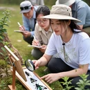 南京旅游 缩略图 5