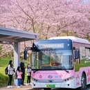 长沙旅游 缩略图 2