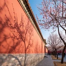 北京旅游 缩略图 6