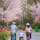 武汉旅游 缩略图 2
