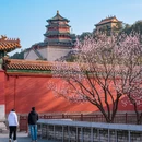 北京旅游 缩略图 7