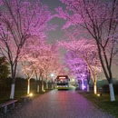 长沙旅游 缩略图 4