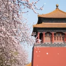 北京旅游 缩略图 5