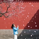 北京旅游 缩略图 2