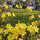 北京旅游 缩略图 4