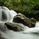 杭州旅游 缩略图 3