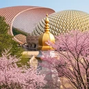 南京旅游 缩略图 7
