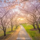 南京旅游 缩略图 6