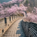 南京旅游 缩略图 9