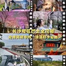 长沙旅游 缩略图 1
