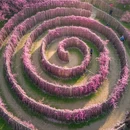 无锡旅游 缩略图 5