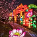上海旅游 缩略图 8
