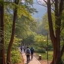 上海旅游 缩略图 5