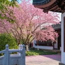 上海旅游 缩略图 5