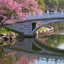 上海旅游 缩略图 4