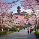 南京旅游 缩略图 3