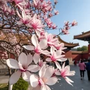南京旅游 缩略图 7