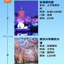 武汉旅游 缩略图 1