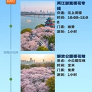 武汉旅游 缩略图 2