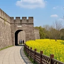 杭州旅游 缩略图 7