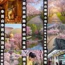 南京旅游 缩略图 1