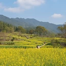杭州旅游 缩略图 6