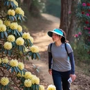 凉山旅游 缩略图 8