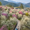 凉山旅游 缩略图 2