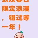 武汉旅游 缩略图 1