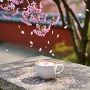 西安旅游 缩略图 4