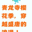 西安旅游 缩略图 1