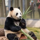 无锡旅游 缩略图 3